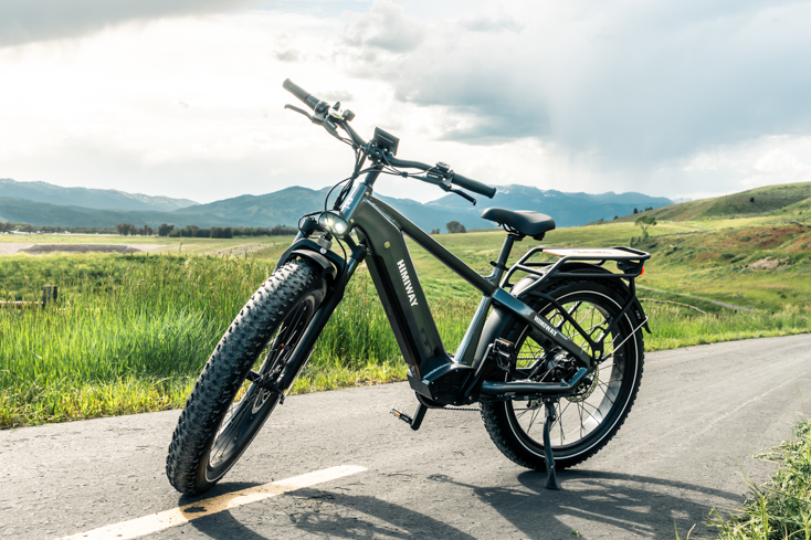 Himiway Zebra Electric Bicycle